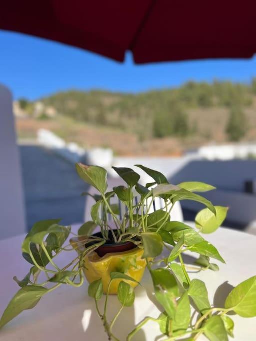 Appartamento Casa El Pino B Vera de Erque Esterno foto