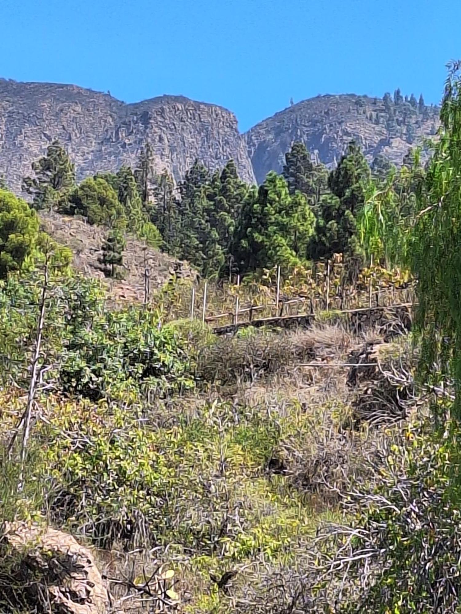 Appartamento Casa El Pino B Vera de Erque Esterno foto